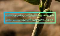مراسم روز درختکاری با حضور مسئولین و به میزبانی اداره منابع طبیعی و آبخیزداری