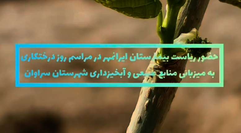 مراسم روز درختکاری با حضور مسئولین و به میزبانی اداره منابع طبیعی و آبخیزداری